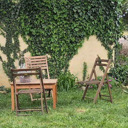 Appartement With Parking Space Gornji Karin, Novigrad - 21514