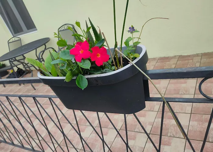 With Parking Space Gornji Karin, Novigrad - 21514 Apartman *